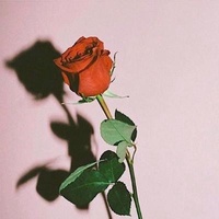 阅片无数君